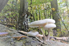 DSCN3325-2