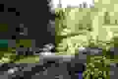 DSCN0001