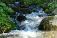 DSCN0002