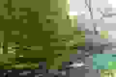 DSCN0010