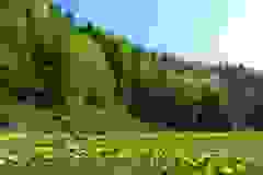 DSCN0011
