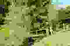 DSCN9933