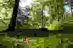 DSCN9945