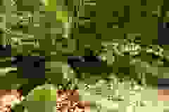 DSCN9952