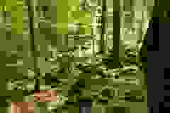 DSCN9955