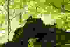DSCN9958