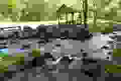 DSCN9979