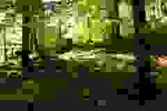 DSCN9984