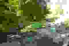 DSCN9993