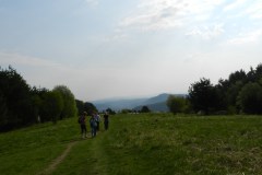 DSCN9774
