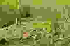 DSCN9781