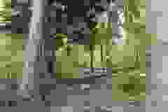 DSCN9783