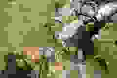 DSCN9788
