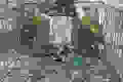 DSCN9797