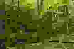 DSCN9799
