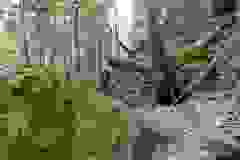 DSCN9801