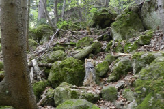 DSCN9803_A