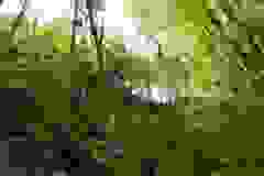 DSCN9804