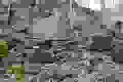 DSCN9805