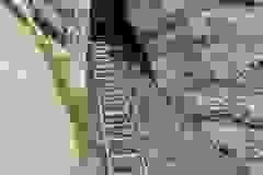 DSCN9808