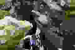 DSCN9816