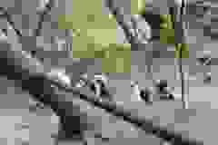 DSCN9821