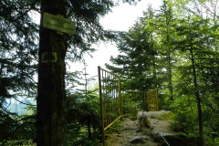 DSCN9823_A